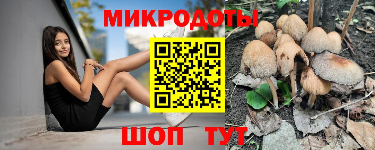 Галлюциногенные грибы мухоморы Зерноград
