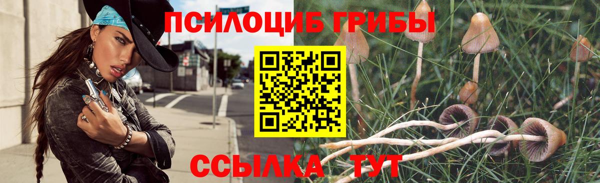 Галлюциногенные грибы Psilocybine cubensis  Галлюциногенные грибы Cubensis  Вход с VPN  Зерноград 