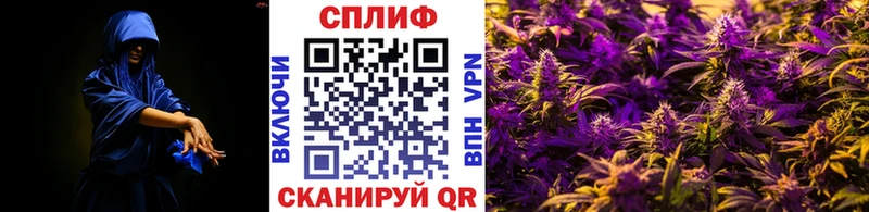 Бошки Шишки ГИДРОПОН  Зерноград 
